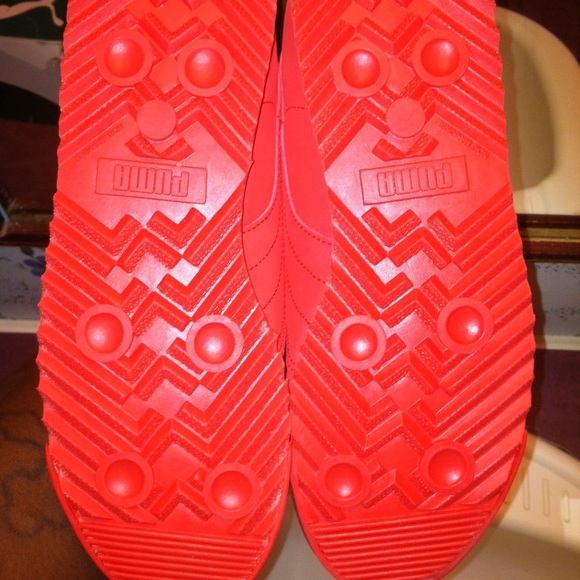 Pumas Roma - Picture 2 of 4